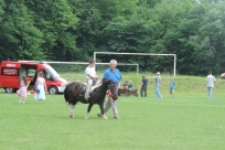 Przejażdżki na kucykach